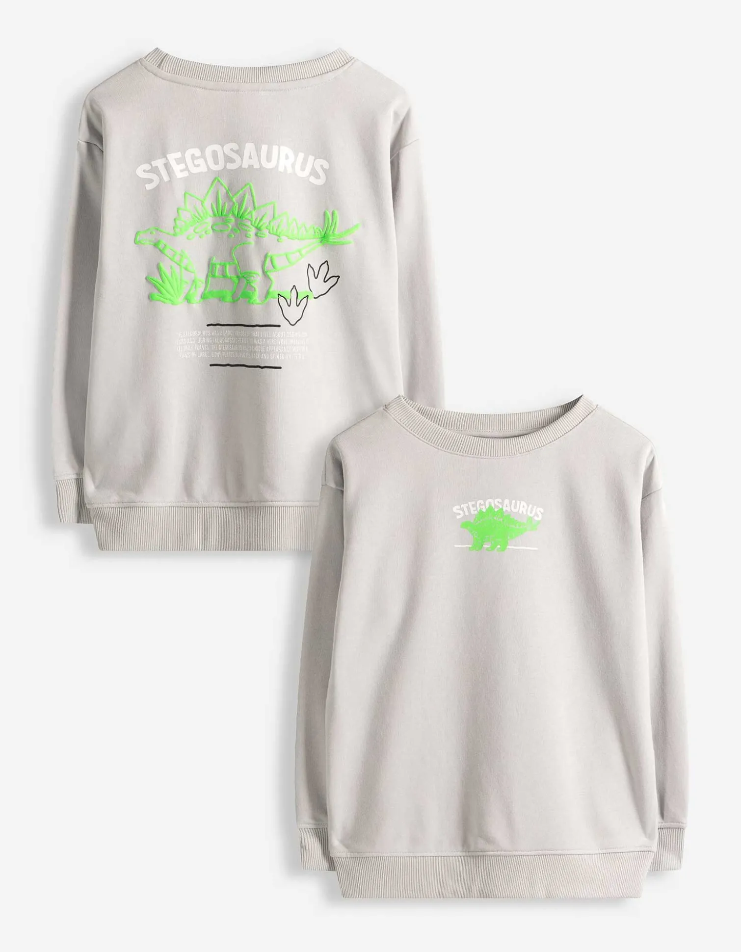 Sweatshirt - Rückenprint - hellgrau