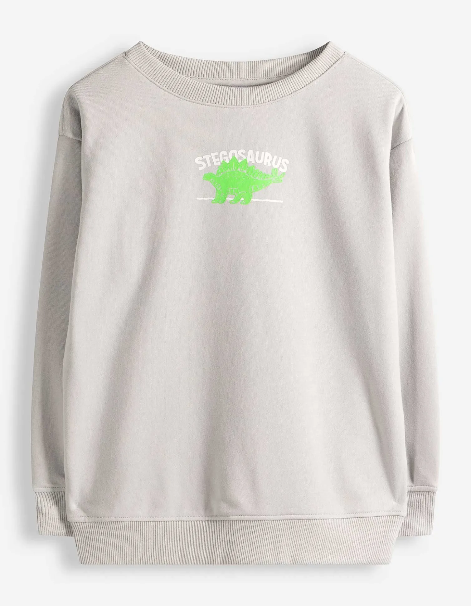 Sweatshirt - Rückenprint - hellgrau
