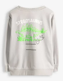 Sweatshirt - Rückenprint - hellgrau