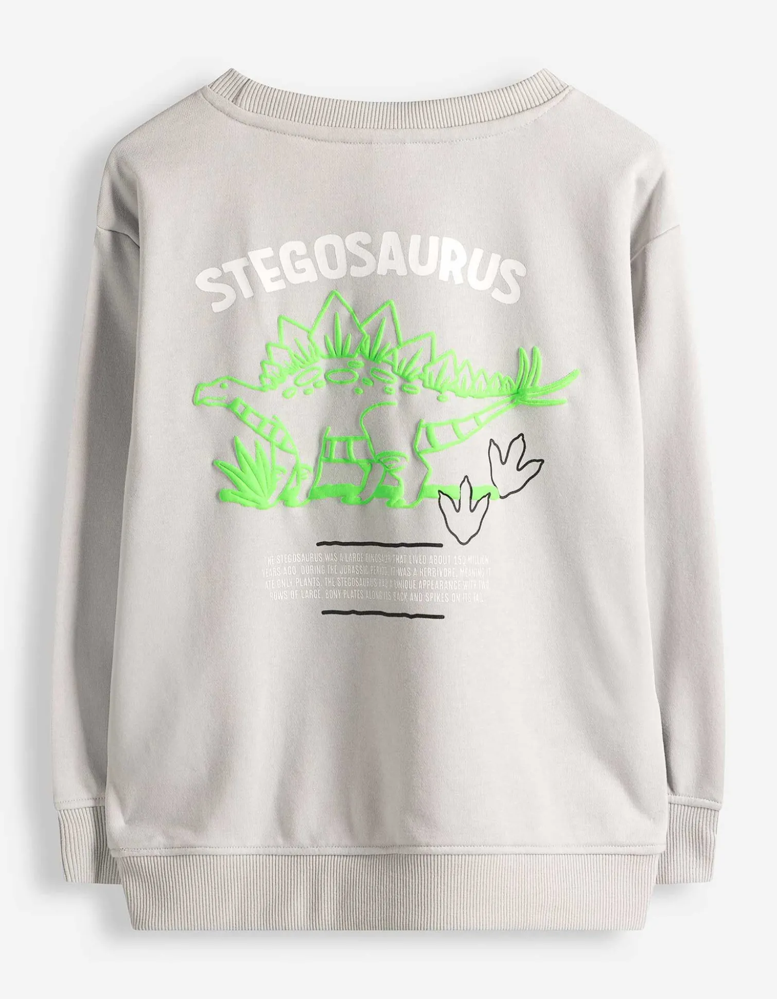 Sweatshirt - Rückenprint - hellgrau